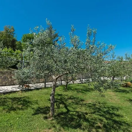 Marlies With Sea View And 3 Terraces-2